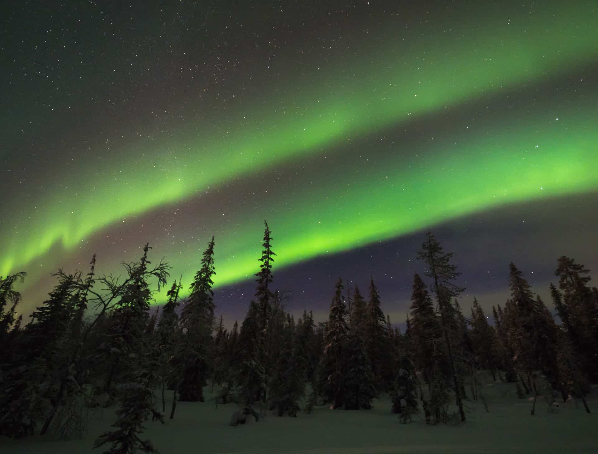 AURORA BOREALIS - all you need to know about the Northern Lights